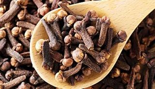 بذور القرنفل 