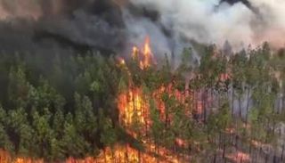 حرائق الغابات في أستراليا - أرشيفية 