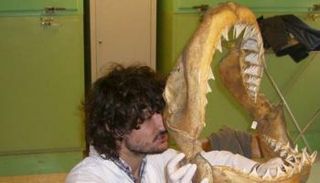 باحث يفحص أحد مقتنيات المتاحف - صورة أرشيفية