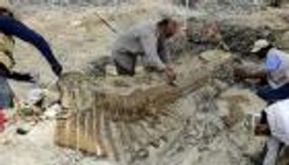 وحشيات الأرجل.. اكتشاف ديناصورات عمرها 90 مليون سنة