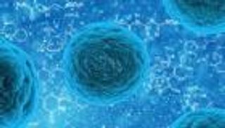 14 معلومة مغلوطة عن "كورونا".. "الصحة العالمية" تحسم الجدل