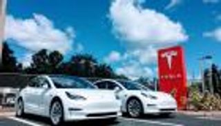 بأمر المحكمة.. إيقاف بناء مصنع تسلا قرب برلين