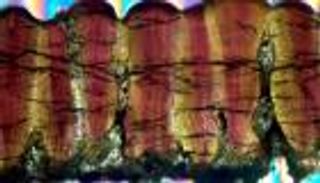 دراسة تكشف: الديناصورات من ذوات الدم الحار