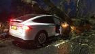 حادث يكشف أهمية نظام الفرامل التلقائي في السيارات 