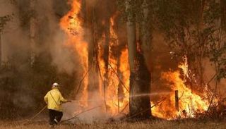 حرائق الغابات في أستراليا