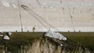 سلالم "مموهة".. حيلة المهربين لعبور جدار ترامب الحدودي 