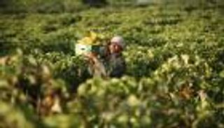 رسميا.. انتهاء "النزاع التجاري" بين فلسطين وإسرائيل