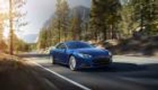 معركة الأشجار تشتعل بين تسلا ونشطاء ألمانيا.. رد غير متوقع من الحكومة