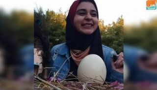 الفتاة المصرية هدى ناصر