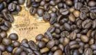إثيوبيا تتذوق ٤٠٧ ملايين دولار بنكهة القهوة