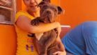 والده أساء معاملته.. صبي يرسل كلبه إلى ملجأ لحمايته