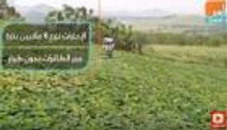 الإمارات تزرع 6 ملايين بذرة عبر الطائرات دون طيار