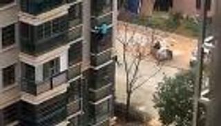 على طريقة "سبايدر مان".. مسنة تنزل واجهة مبنى 8 طوابق بسبب كورونا