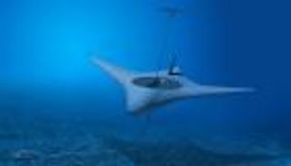 "شيطان البحر".. سلاح أمريكي جديد بتكنولوجيا "لوكهيد مارتن"