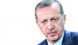 أردوغان والجزائر.. الدبة التي قتلت صاحبها