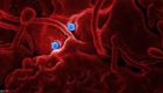 "كورونا" يُرجئ مناورات عسكرية بين واشنطن وسيؤول