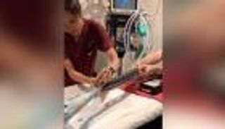 بالفيديو.. استخراج منشفة من بطن ثعبان