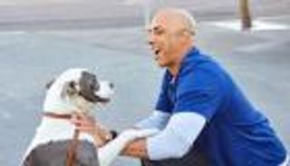 طبيب يعالج حيوانات الشارع.. ويكشف أسرار المشردين