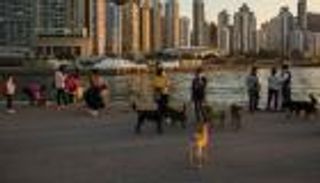 كورونا يضع حيوانات هونج كونج في الحجر الصحي