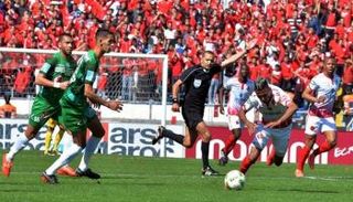 الرجاء والوداد