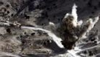 مقتل 6 بينهم سجان داعش بغارات أمريكية شرق أفغانستان