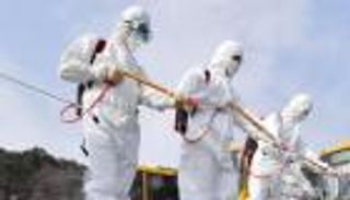 "الصحة اليمنية" تعلن خلو البلاد من "كورونا"