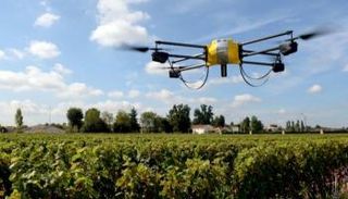 المسح الزراعي بالطائرات بدون طيار أكثر كفاءة