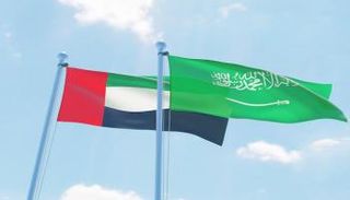 علما السعودية والإمارات - أرشيفية