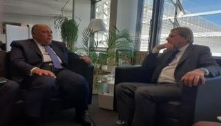 سامح شكري ويوهانس هان