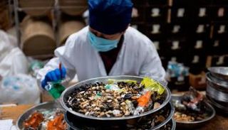 الحساء البني يحتوي على أكثر من 20 عشبا طبيعيا