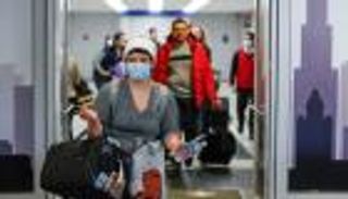 ألمانيا تستعين بالخفافيش للقضاء على كورونا