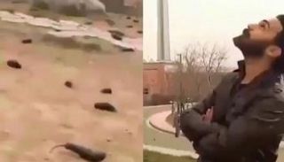 جانب من المقاطع المصورة المتداولة في إيران