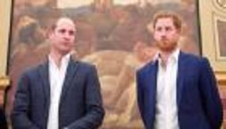 الخلاف بين هاري وويليام "الأكثر حدة" بين الأخوين