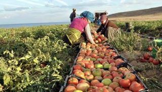 الأزمات تضرب الاقتصاد التركي