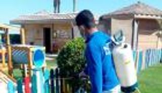 مصر تبدأ تعقيم المنشآت السياحية والفنادق لمواجهة كورونا