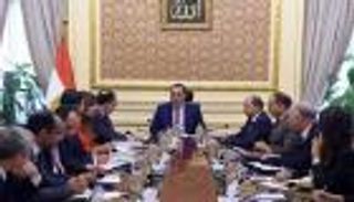 الحكومة المصرية تخضع لفحص كورونا