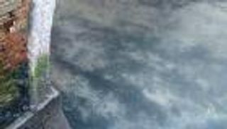 لأول مرة.. الأسماك تظهر في قنوات فينيسيا المائية مع تفشي كورونا