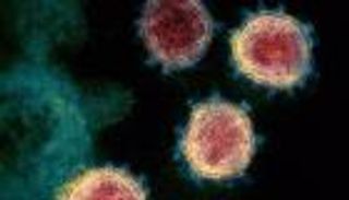 كورونا يضرب 220 ألفا حول العالم