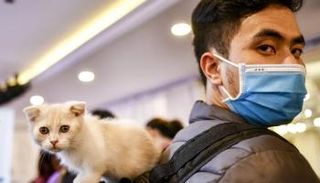  الشركة ابتكرت الدواء في الأصل لعلاج مرض الهربس لدى البشر - أرشيفية