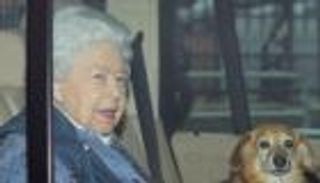 كورونا يدفع الملكة إليزابيث للتواصل مع أسرتها إلكترونيا