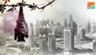 تراجع مؤشر أسعار العقارات في قطر لأدنى مستوى منذ 5 سنوات