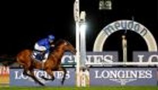 تأجيل كأس دبي العالمي للخيول بسبب كورونا