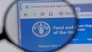 شعار منظمة فاو للأغذية