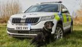 طراز خاص من سكودا لمساعدة الشرطة البريطانية.. تعرف عليه