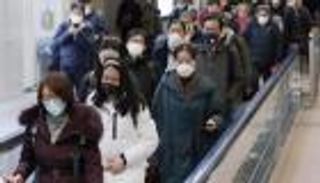 تجمعات "أزهار الكرز" تهدد اليابان بمزيد من إصابات كورونا