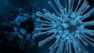 دراسة: المناعة البشرية تستطيع مواجهة فيروسين في وقت واحد