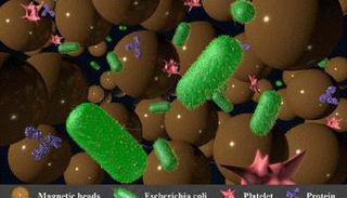 الجهاز الجديد يحتجز البكتيريا 