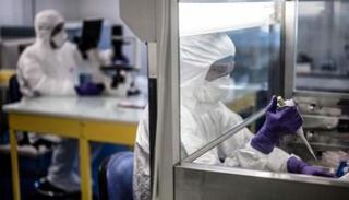 باحثون يبحثون عن علاج لكورونا