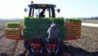 قطاع الزراعة الفرنسي طوق النجاة لضحايا كورونا