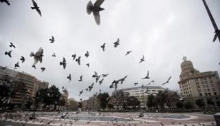 ساحات إسبانيا خالية إلا من الطيور